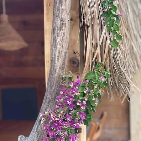 Casita Louise Maison De Boheme Люссиана